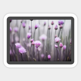 delicate wildflowers Sticker